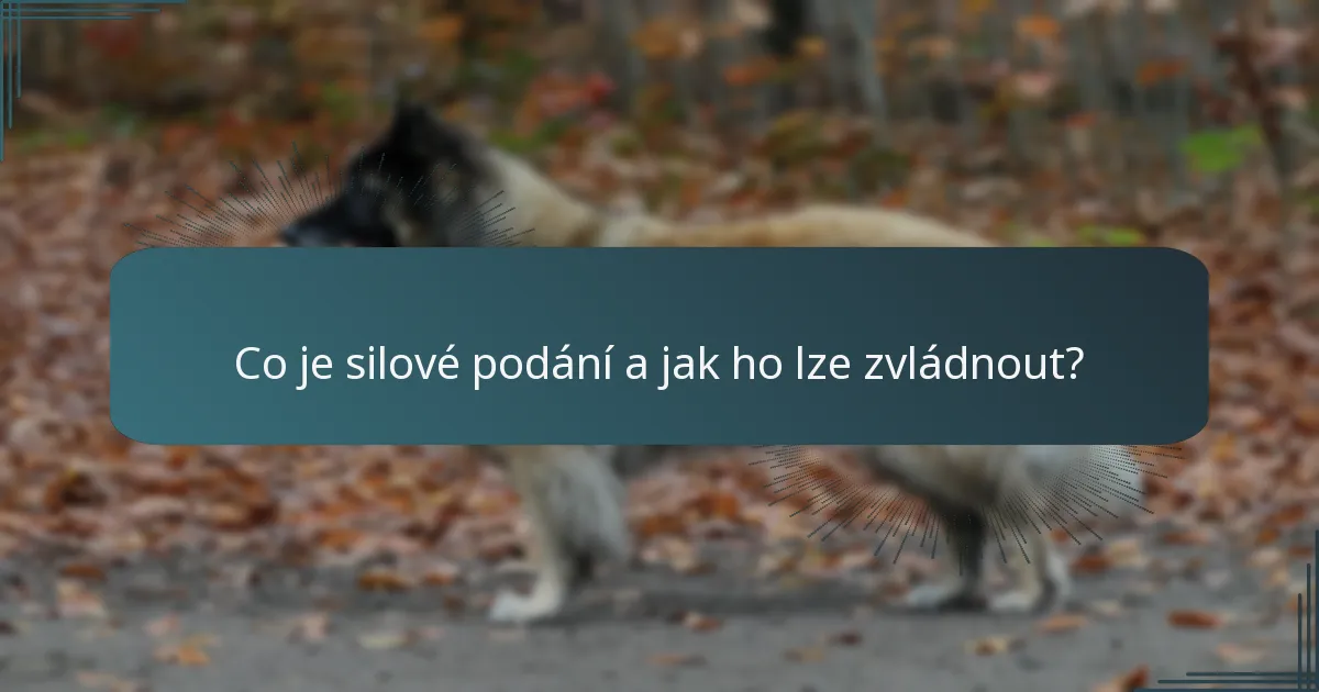 Co je silové podání a jak ho lze zvládnout?
