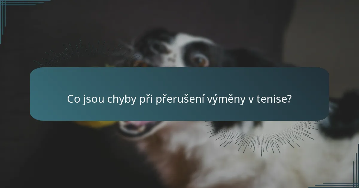 Co jsou chyby při přerušení výměny v tenise?