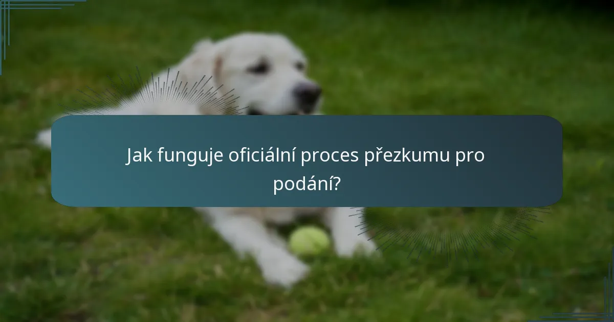Jak funguje oficiální proces přezkumu pro podání?