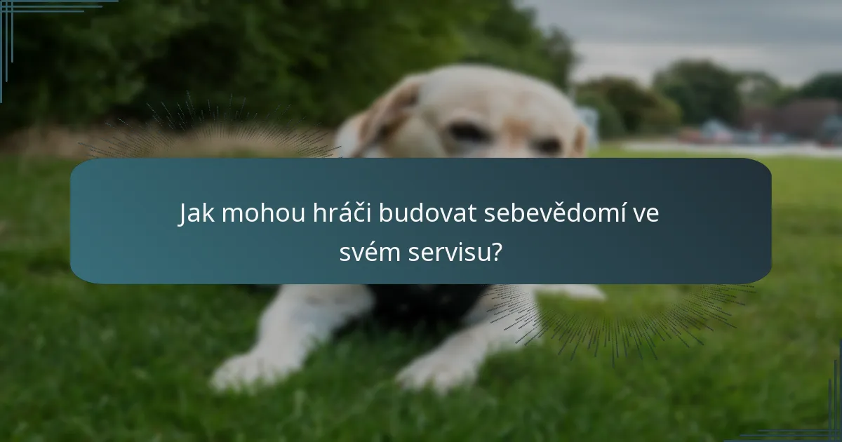 Jak mohou hráči budovat sebevědomí ve svém servisu?