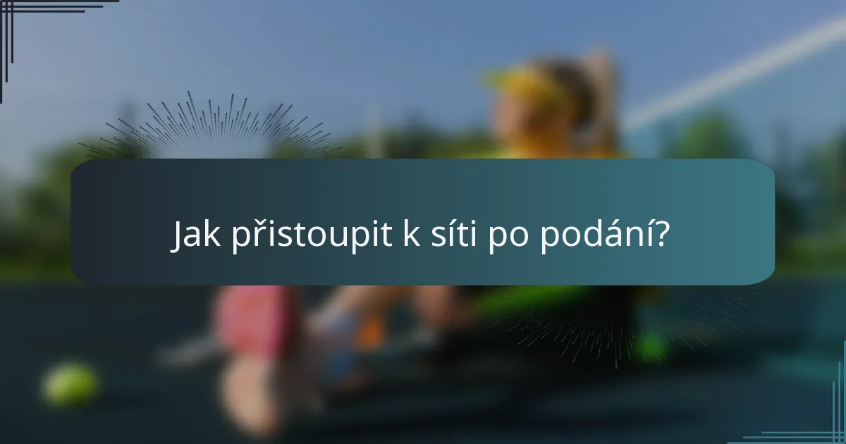 Jak přistoupit k síti po podání?