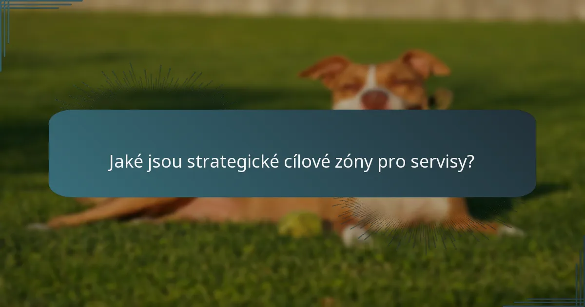 Jaké jsou strategické cílové zóny pro servisy?